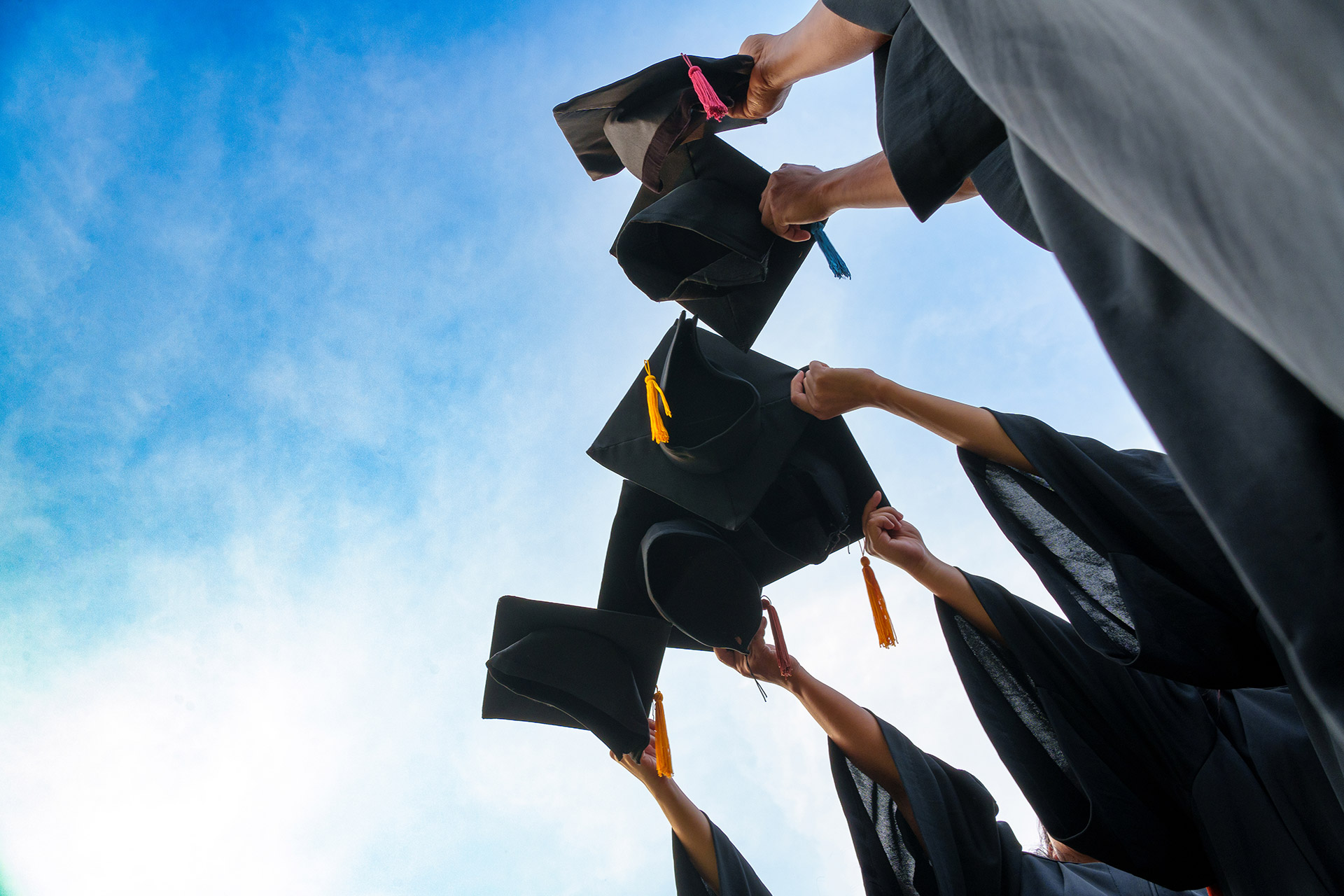 Education & Training